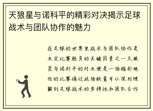 天狼星与诺科平的精彩对决揭示足球战术与团队协作的魅力