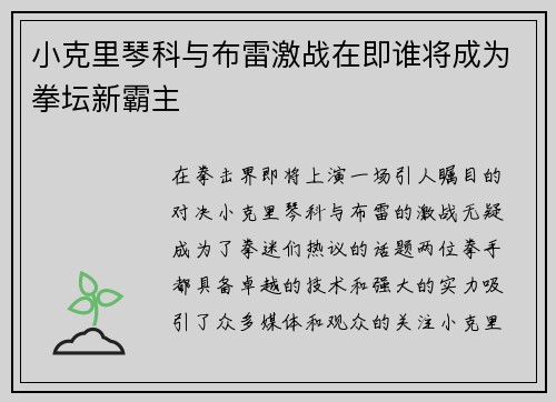 小克里琴科与布雷激战在即谁将成为拳坛新霸主