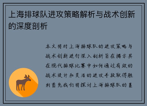 上海排球队进攻策略解析与战术创新的深度剖析