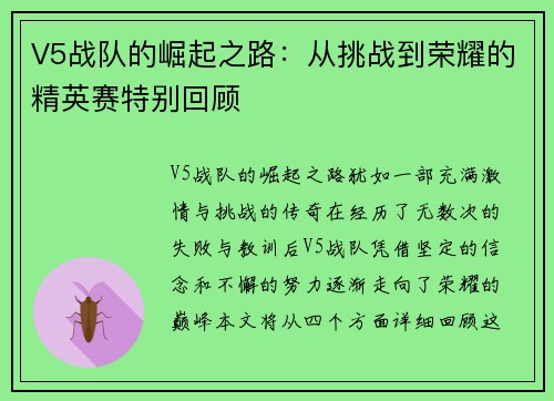 V5战队的崛起之路：从挑战到荣耀的精英赛特别回顾